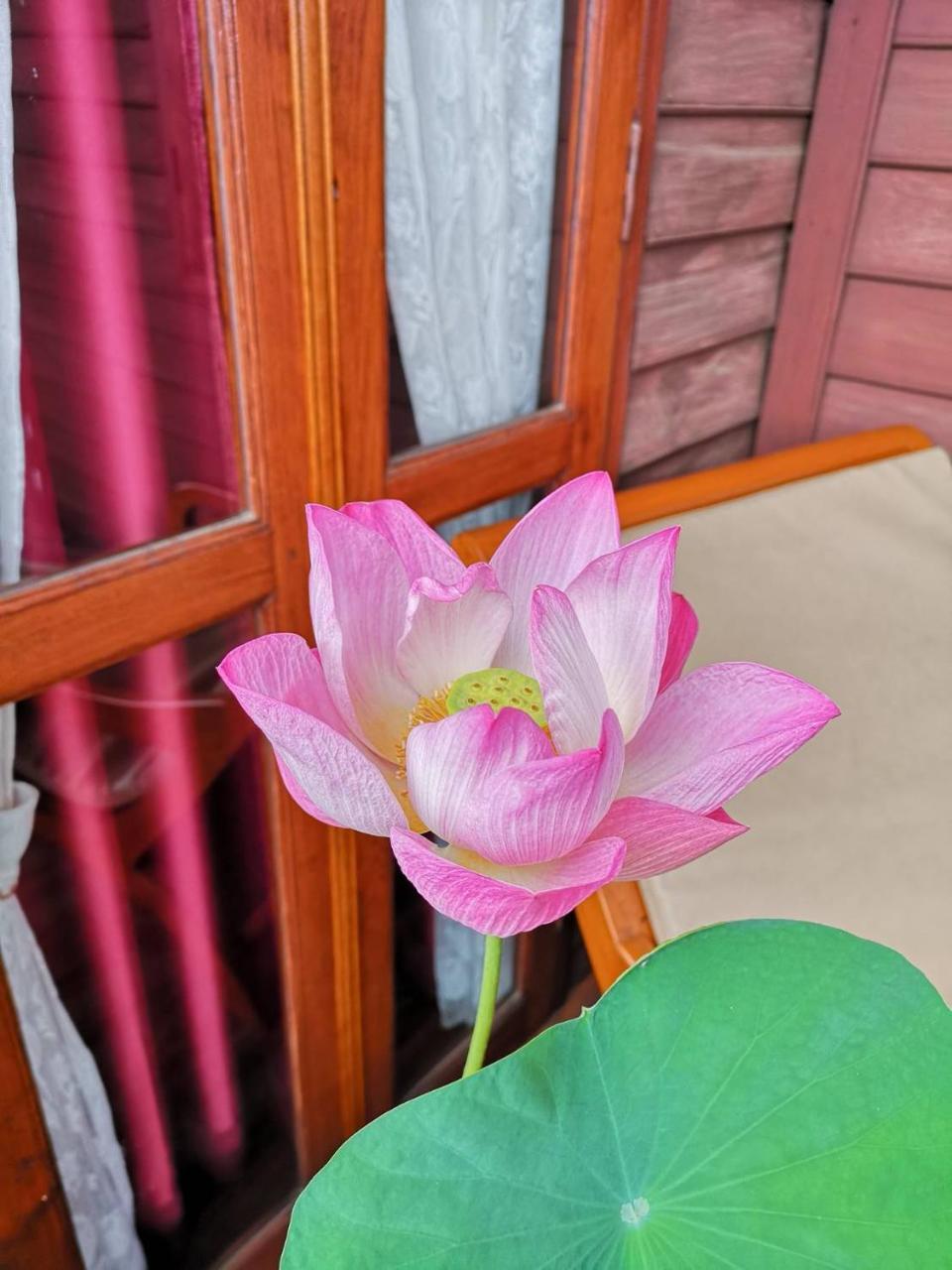 Baan Sithepaban Guesthouse Пхитсанулок Экстерьер фото